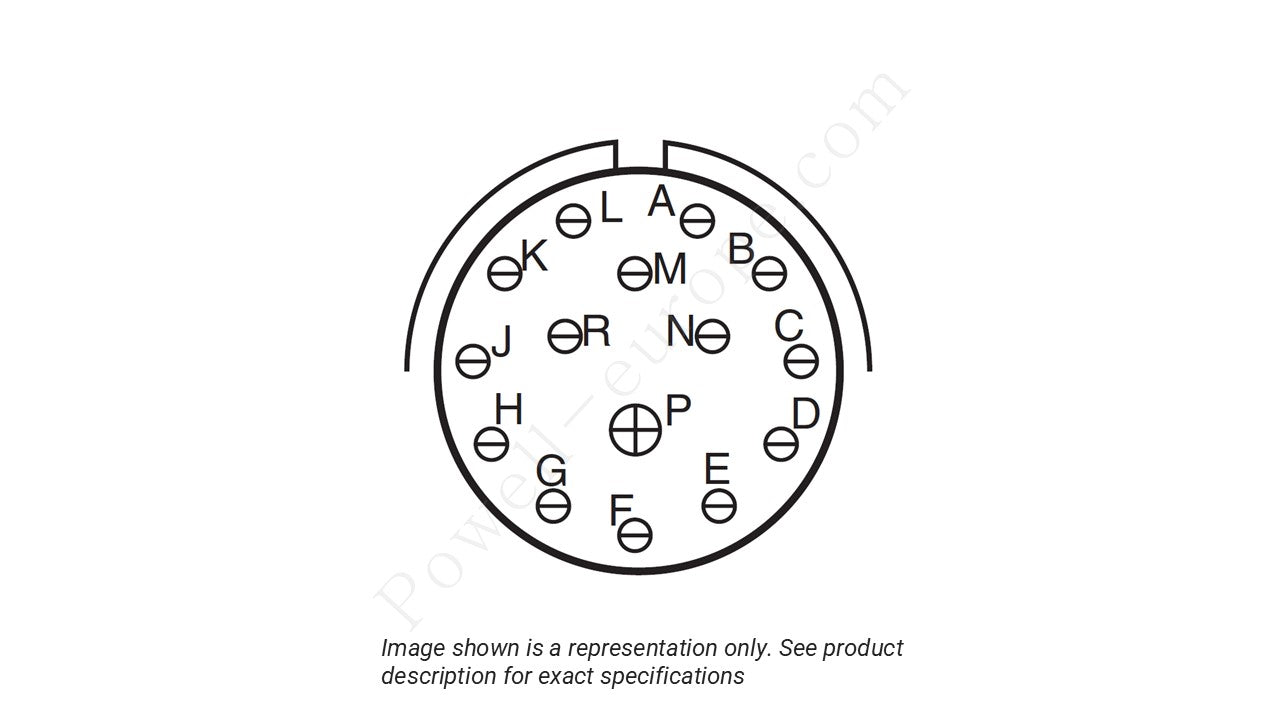 Image showing the insert arrangement and polarization of the Amphenol D38999/20WD15SBLC