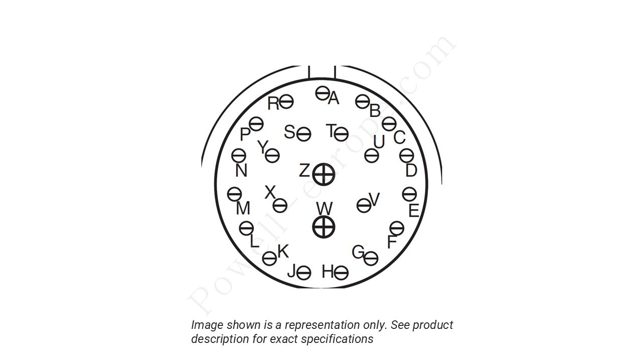 Image showing the insert arrangement and polarization of the Amphenol D38999/20WE99PBLC